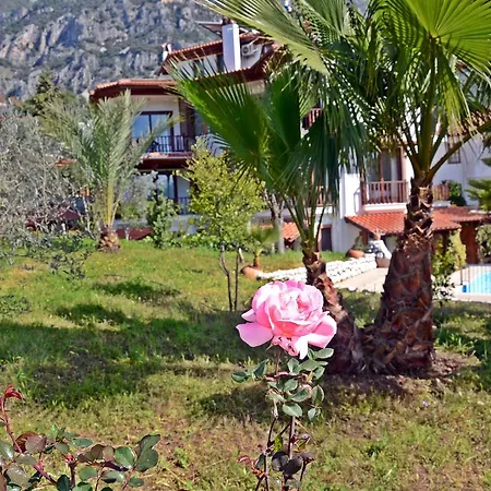 Palmiye Apart/Otel Lejlighedshotel Akyaka (Mugla)