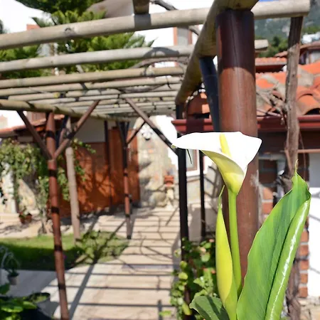 Palmiye Apart/Otel Lejlighedshotel *