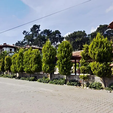 Palmiye Apart/Otel Lejlighedshotel