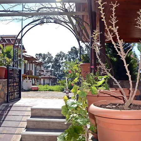 Lejlighedshotel Palmiye Apart/Otel Akyaka (Mugla)