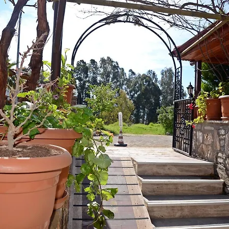 Lejlighedshotel Palmiye Apart/Otel
