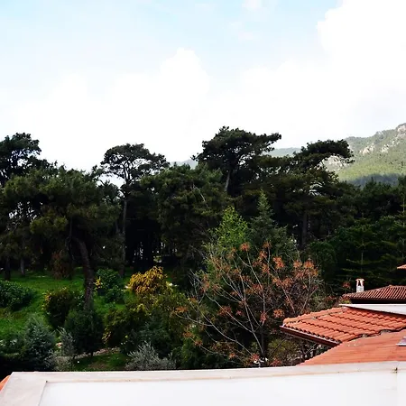 Palmiye Apart/Otel Lejlighedshotel *