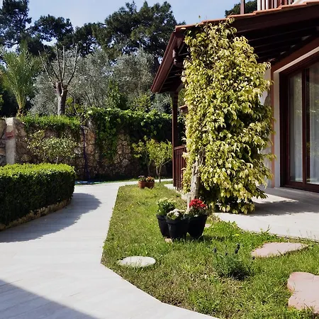 Palmiye Apart/Otel Akyaka (Mugla)